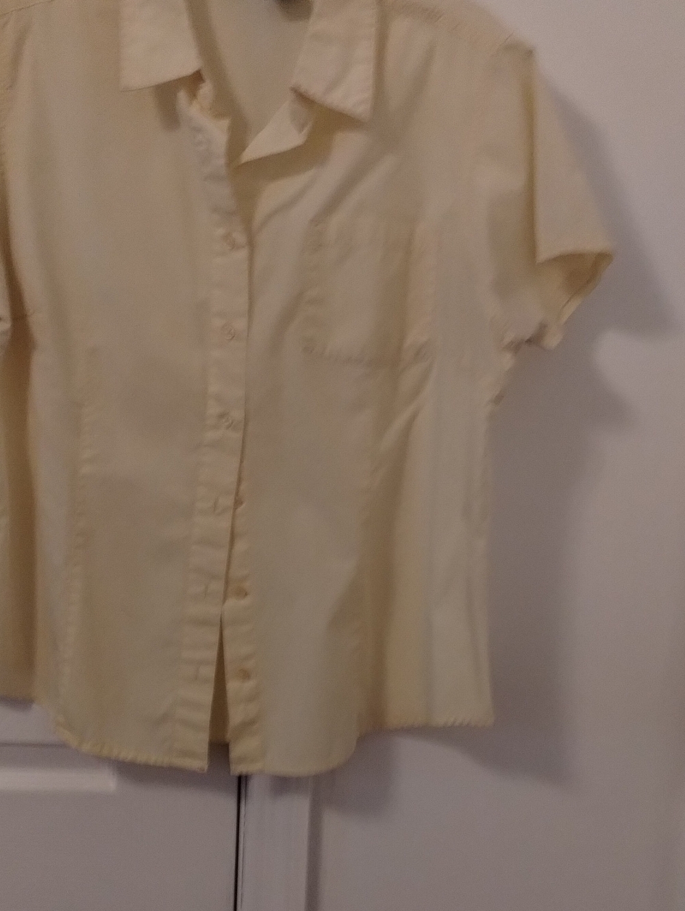 Basic Editions Short-Sleeve Button Front Blouse in Pale Yellow